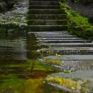 Stepping Stones